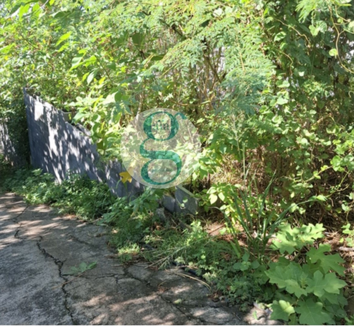 A vendre très beau terrain de 240 m2, viabilisé - Quartier F